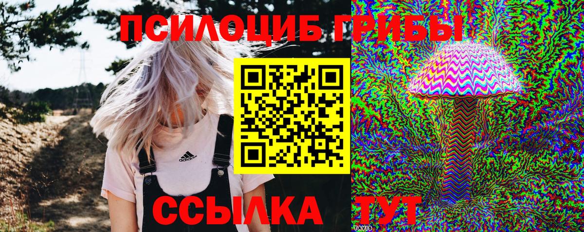 Галлюциногенные грибы GOLDEN TEACHER Краснокаменск