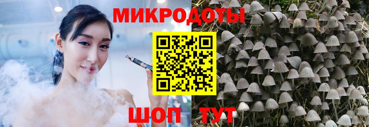 Краснокаменск  Галлюциногенные грибы Psilocybine cubensis  Вход с VPN 